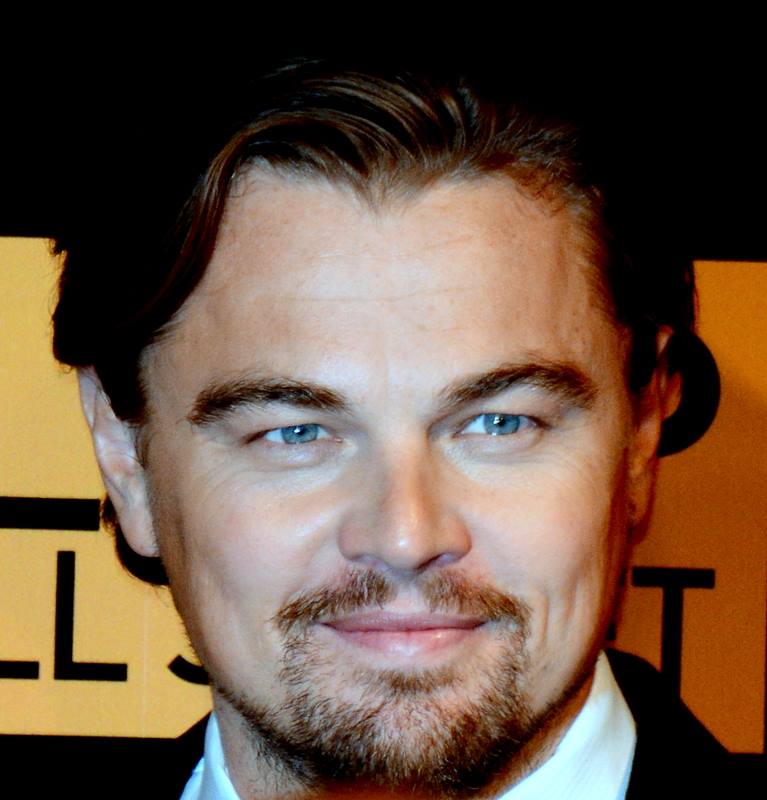 Leonardo_DiCaprio_avp_2013_3